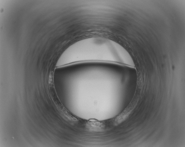 X0000084050137200702160934