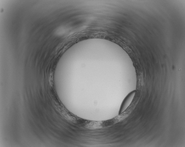 X0000084050138200702160934