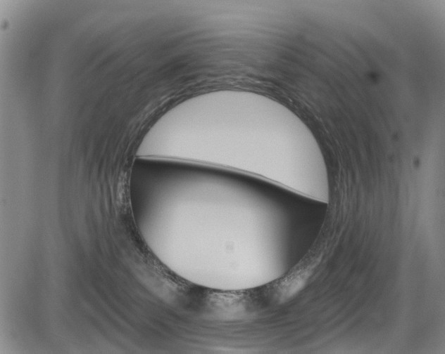 X0000084050139200702160934