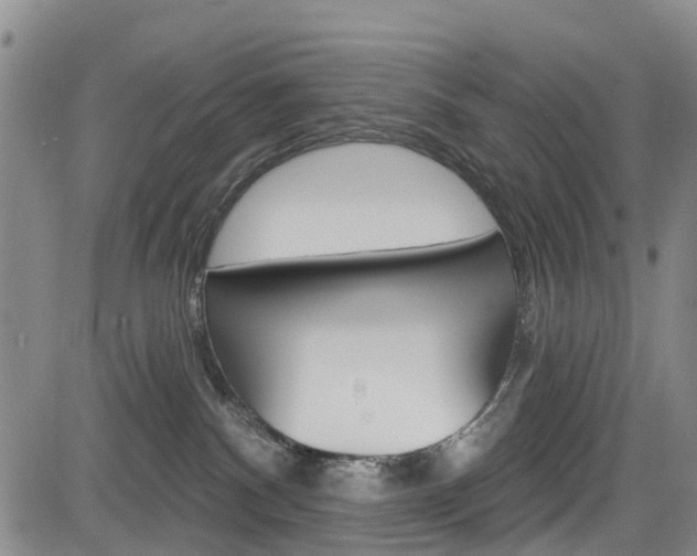 X0000084050140200702160934