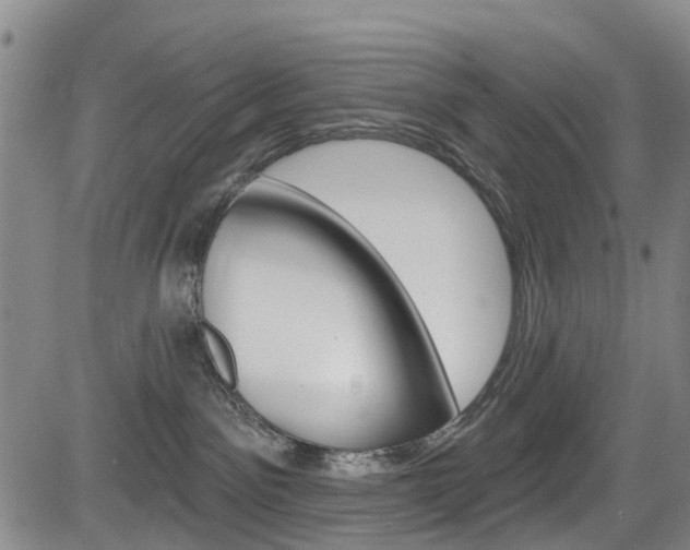 X0000084050141200702160934