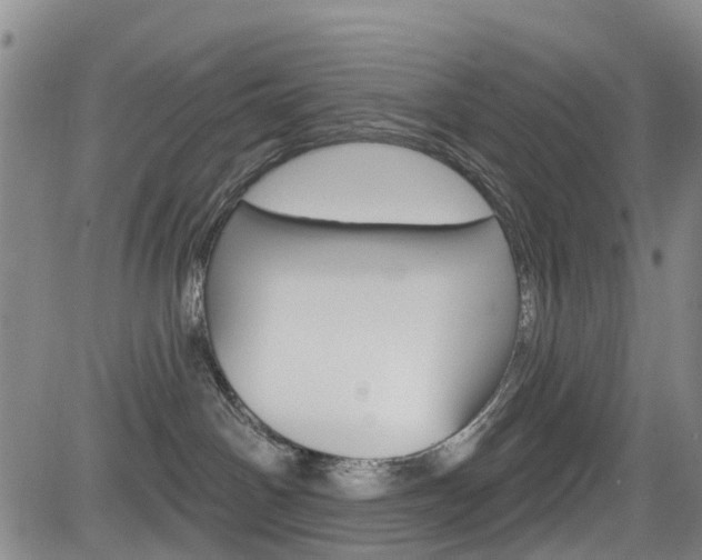 X0000084050142200702160934