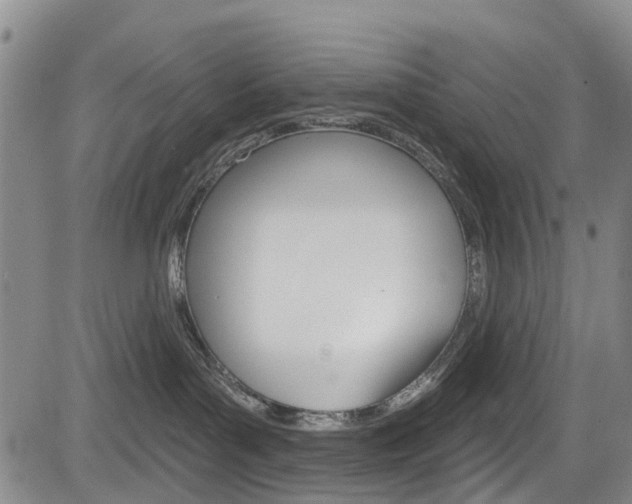 X0000084050143200702160934