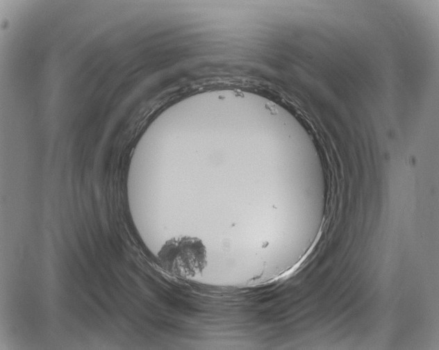 X0000084050144200702160934