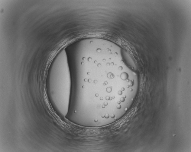 X0000084050145200702160933