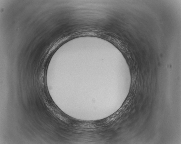 X0000084050146200702160933