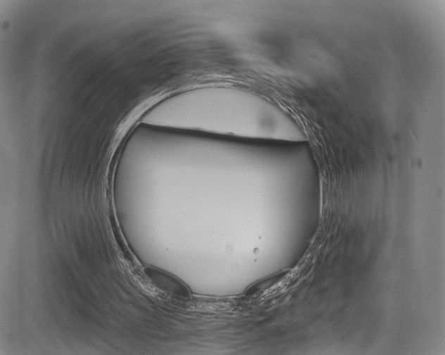 X0000084050147200702160933