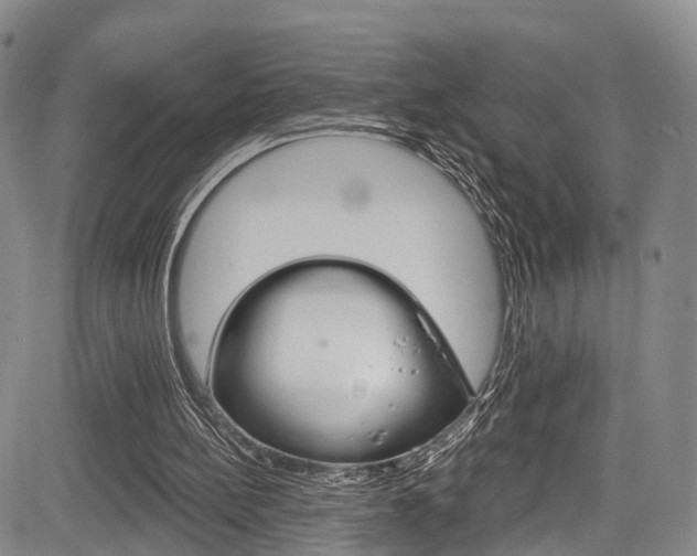 X0000084050148200702160933