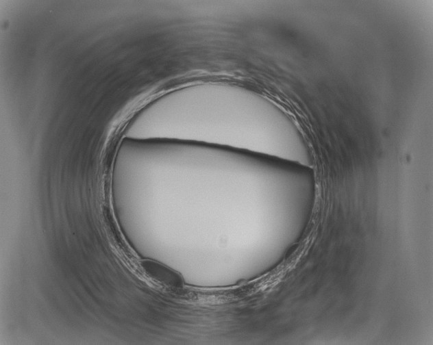 X0000084050149200702160933