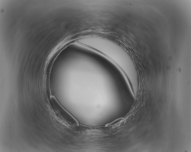 X0000084050150200702160933