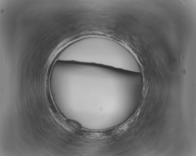 X0000084050151200702160933