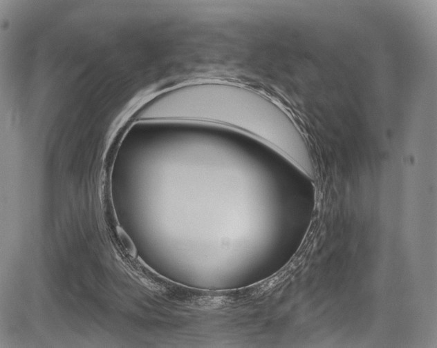 X0000084050152200702160933