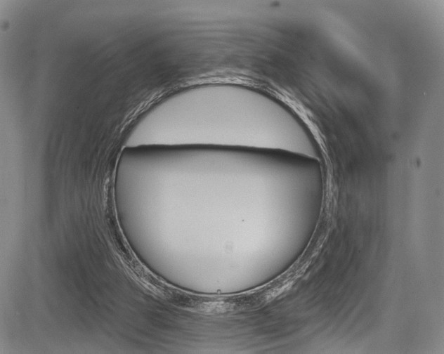 X0000084050153200702160933