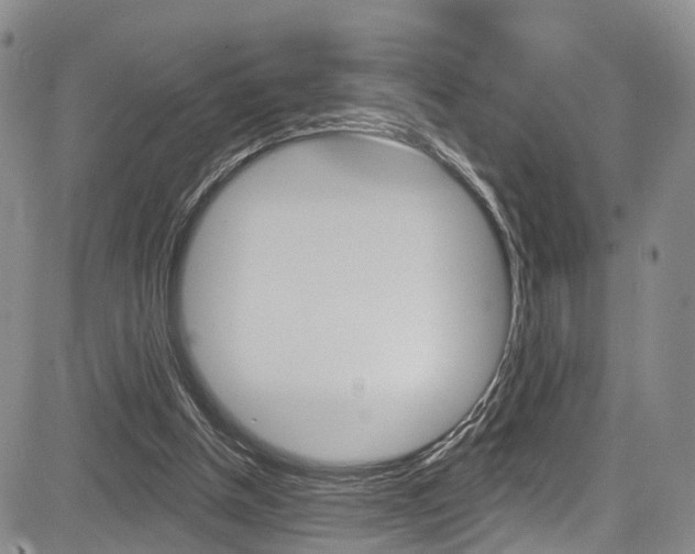 X0000084050154200702160933