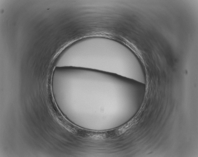 X0000084050155200702160933