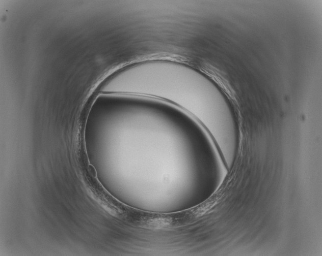 X0000084050156200702160933