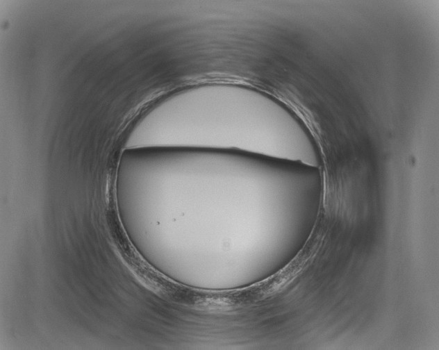 X0000084050157200702160933