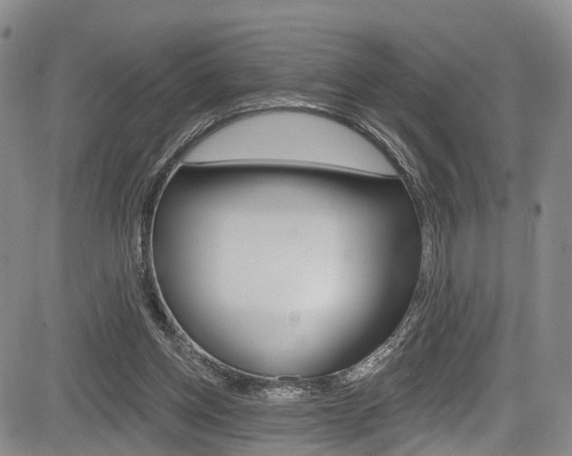 X0000084050158200702160933