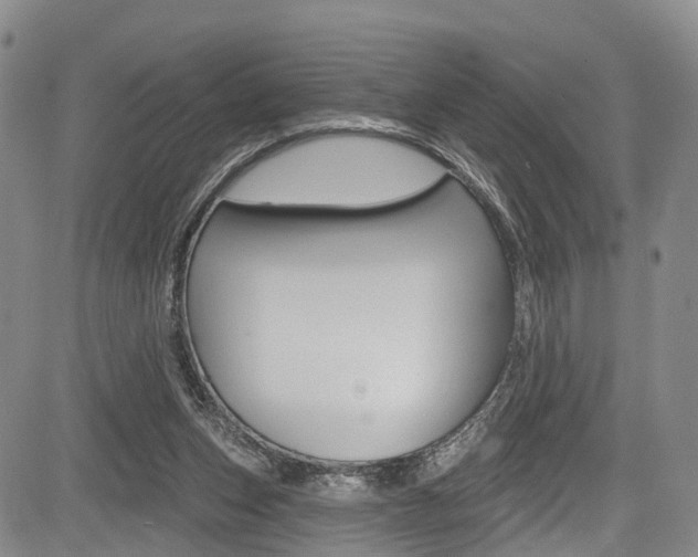 X0000084050159200702160933