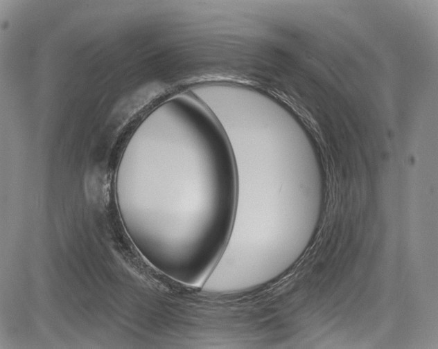 X0000084050160200702160933