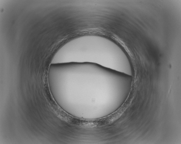 X0000084050161200702160933