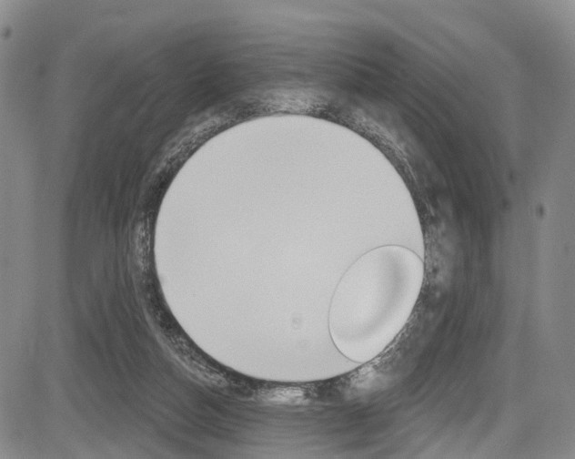 X0000084050162200702160933