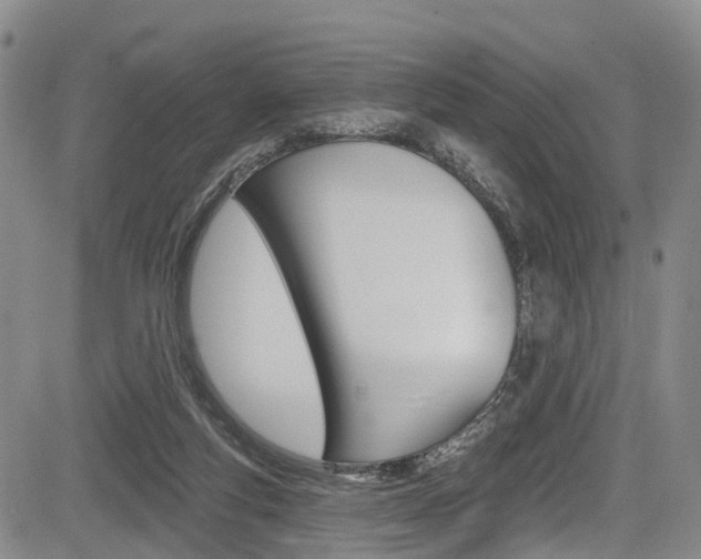 X0000084050163200702160933