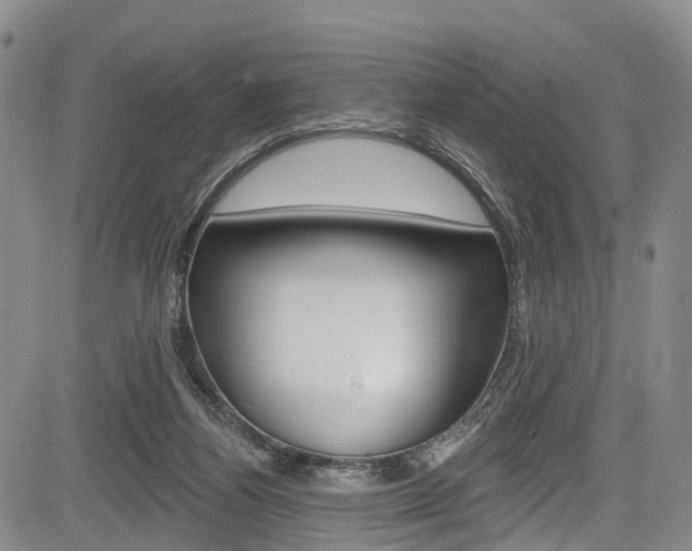 X0000084050164200702160933