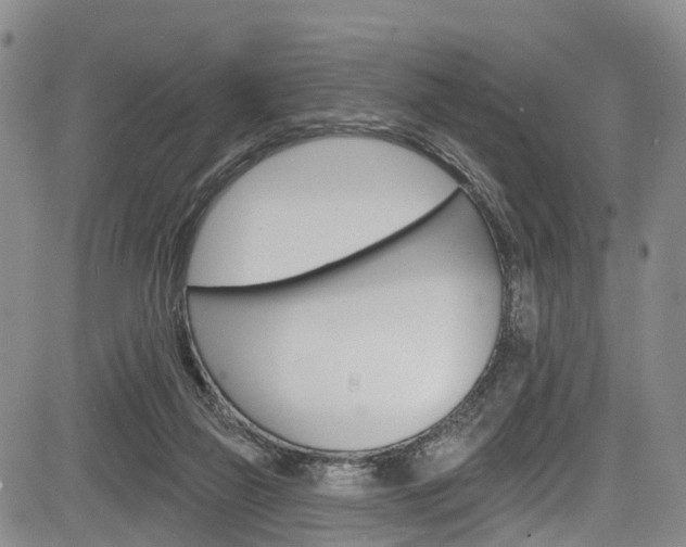 X0000084050165200702160934