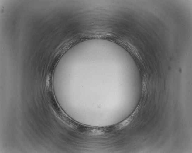 X0000084050166200702160934