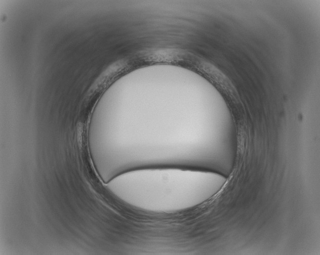 X0000084050167200702160934