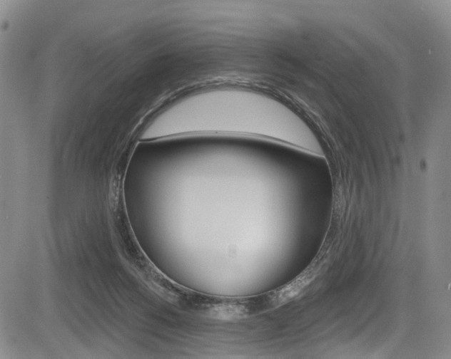 X0000084050168200702160934