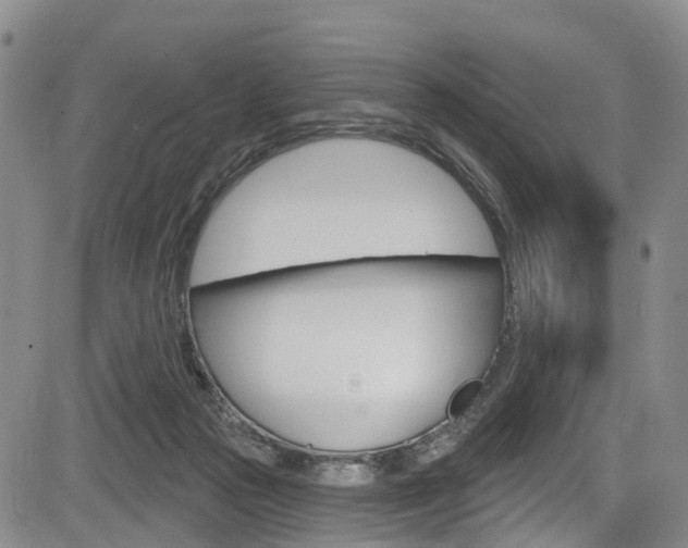 X0000084050169200702160934