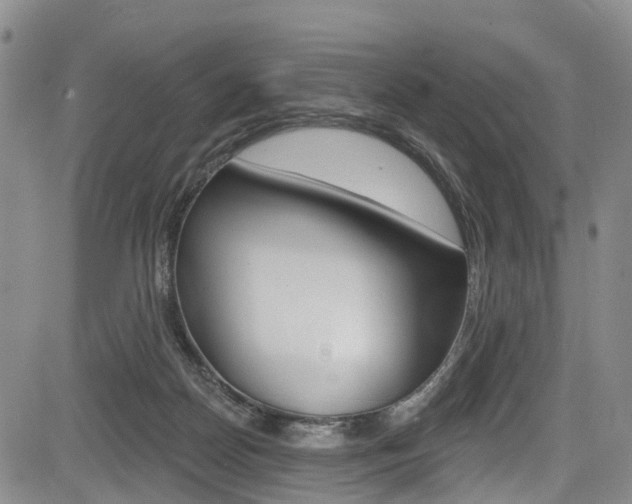 X0000084050170200702160934