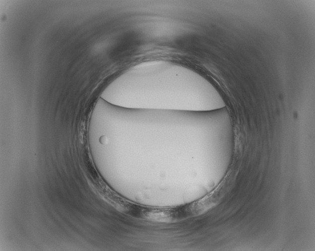 X0000084050171200702160934