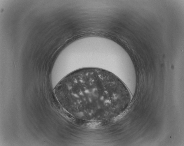 X0000084050172200702160934