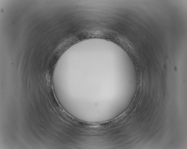 X0000084050173200702160934