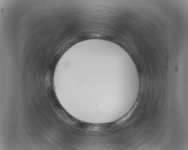 X0000084050174200702160934