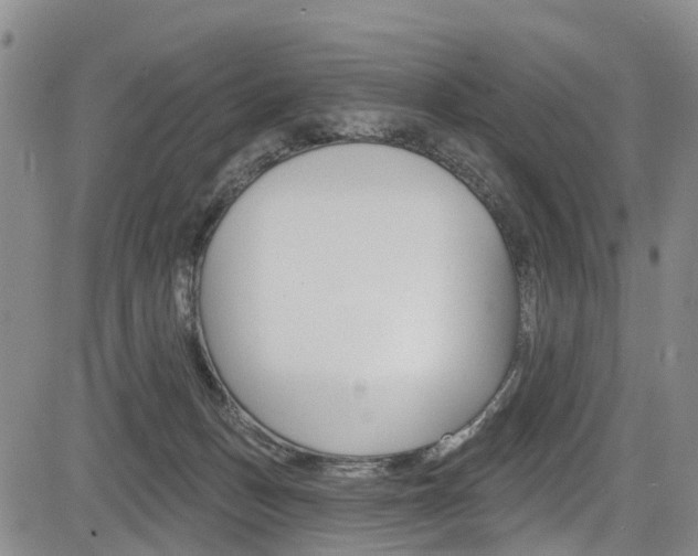 X0000084050175200702160934