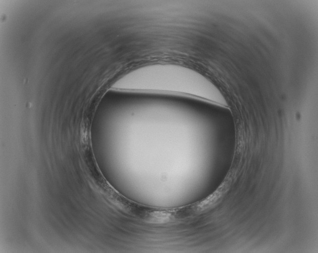 X0000084050176200702160934