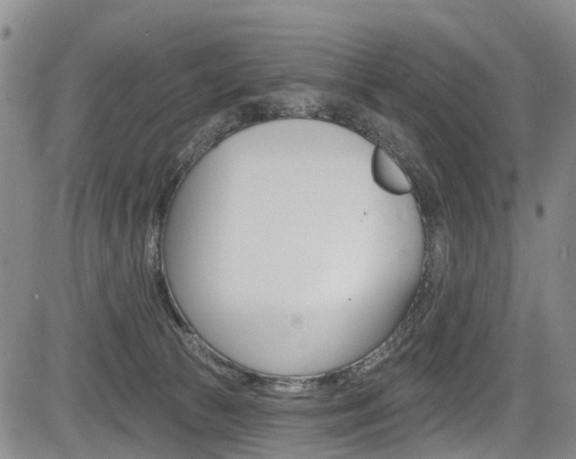 X0000084050177200702160934