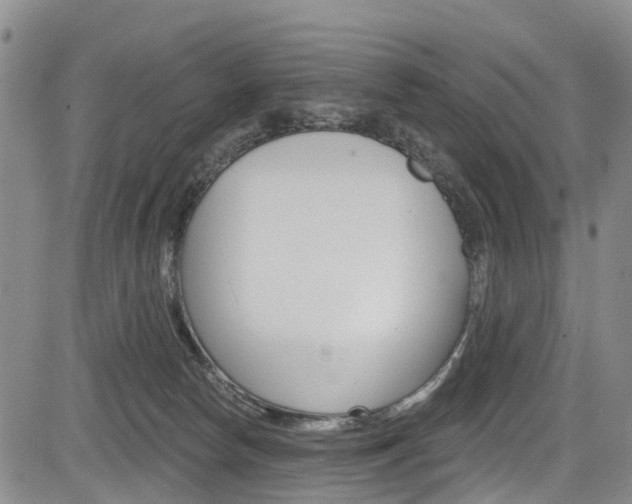 X0000084050178200702160934