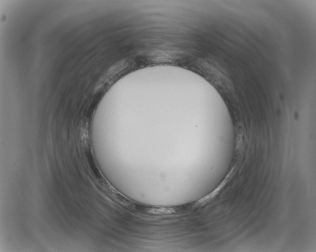 X0000084050179200702160934