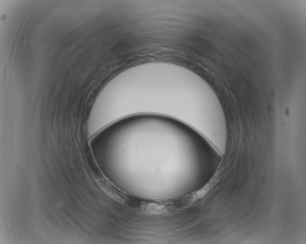 X0000084050180200702160934