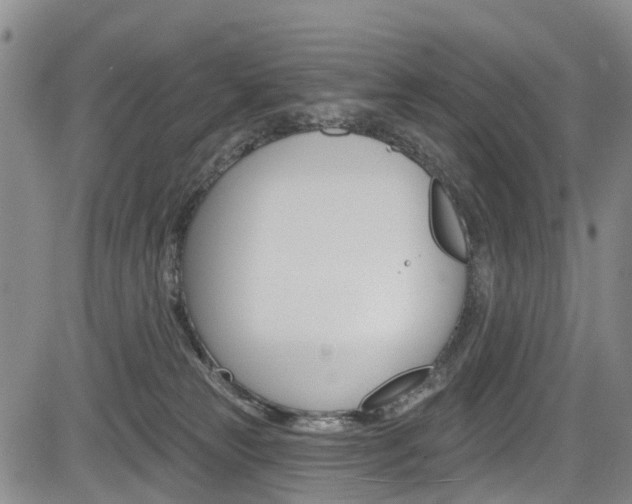 X0000084050181200702160934