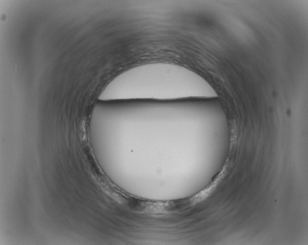 X0000084050182200702160934