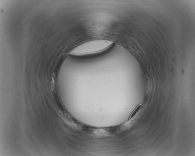 X0000084050183200702160934