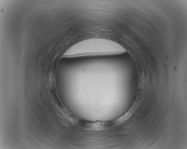 X0000084050184200702160934