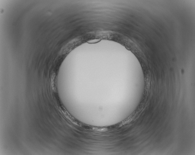 X0000084050185200702160934