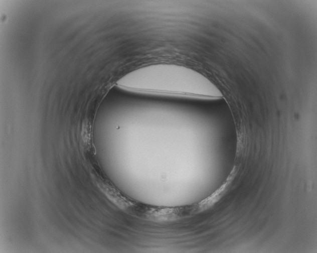 X0000084050186200702160934